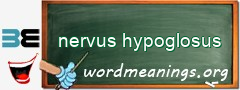 WordMeaning blackboard for nervus hypoglosus